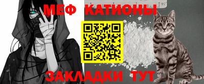apvp Кингисепп