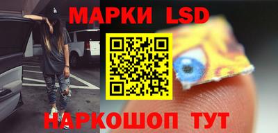 apvp Кингисепп