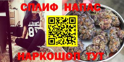 apvp Кингисепп