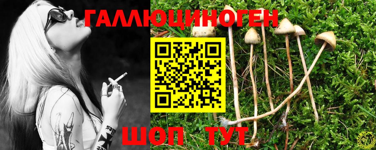 Галлюциногенные грибы ЛСД  Вход с VPN  Киселёвск 