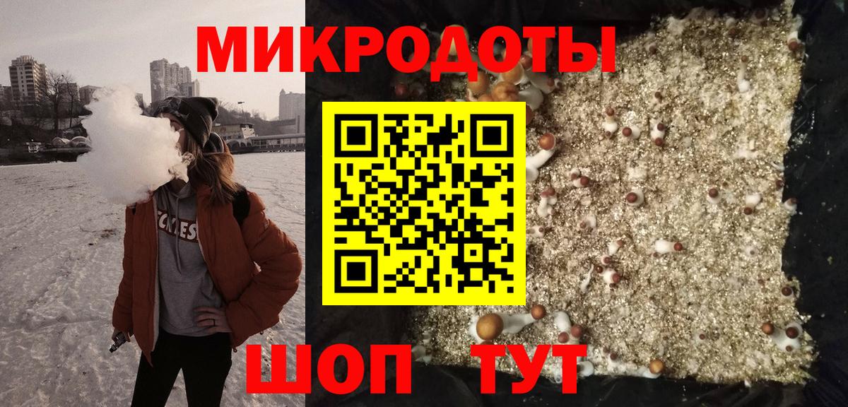 Галлюциногенные грибы Psilocybe Киселёвск